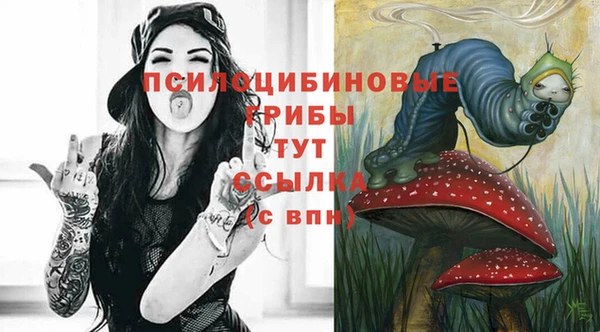 ПСИЛОЦИБИНОВЫЕ ГРИБЫ Наволоки