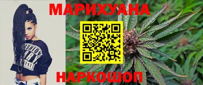 мяу мяу мука Аргун