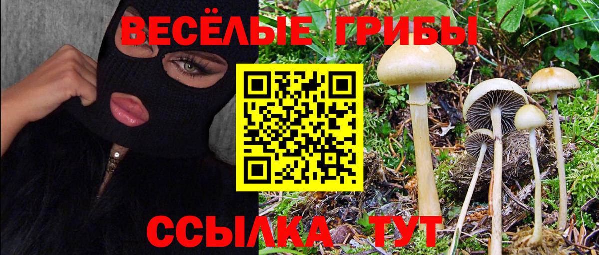Псилоцибиновые грибы мицелий  Галлюциногенные грибы прущие грибы  Людиново  цена наркотик  Вход с VPN 